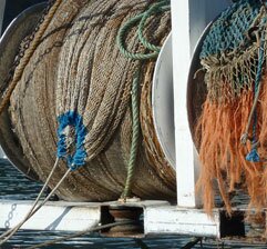 Port de pêche